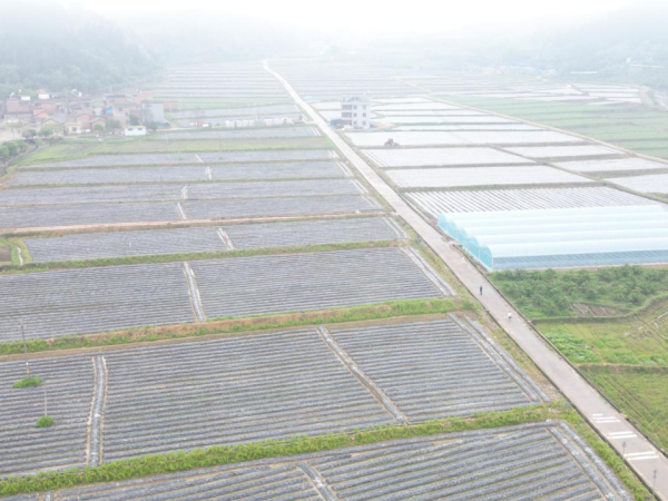 开云体育增多农民收入的弥留设施-开云「中国」kaiyun网页版登录入口