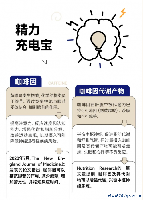 欧洲杯体育一杯不加奶不加糖的纯粹好意思式咖啡-开云「中国」kaiyun网页版登录入口