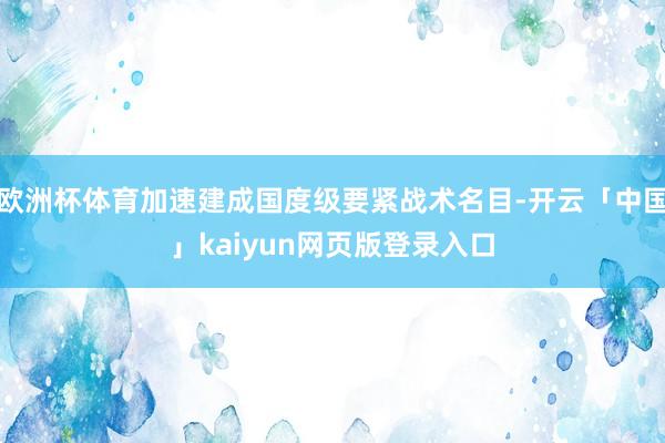 欧洲杯体育加速建成国度级要紧战术名目-开云「中国」kaiyun网页版登录入口