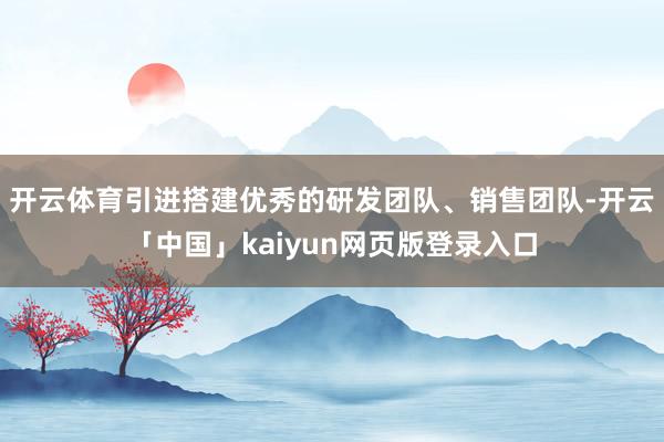 开云体育引进搭建优秀的研发团队、销售团队-开云「中国」kaiyun网页版登录入口
